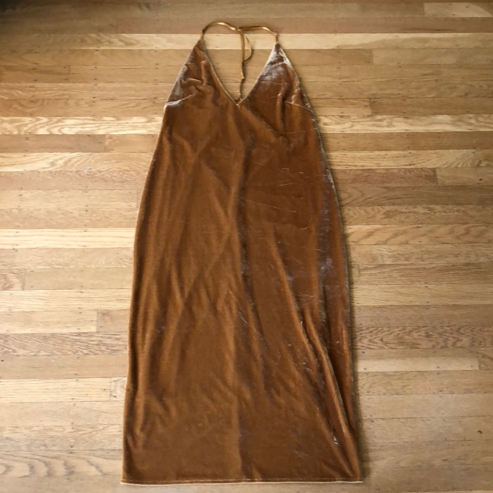 Gold Velvet Knee Length Dress by Publish